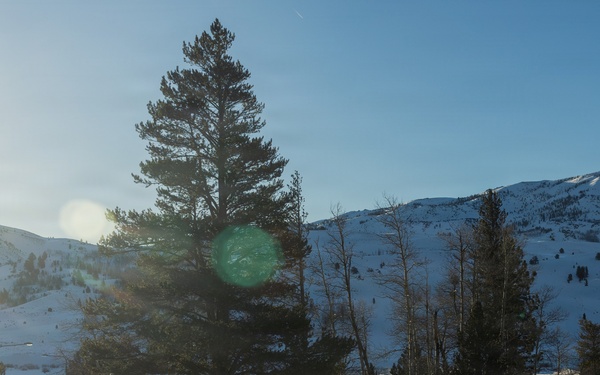 2nd Bn., 4th Marines hike during MTX 1-26