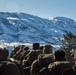 2nd Bn., 4th Marines hike during MTX 1-26