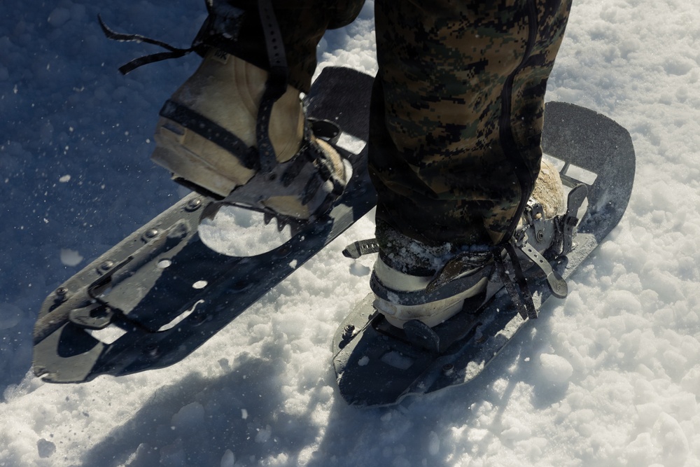 2nd Bn., 4th Marines hike during MTX 1-26