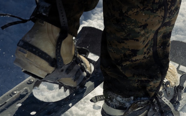 2nd Bn., 4th Marines hike during MTX 1-26