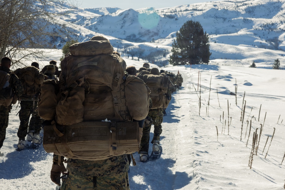 2nd Bn., 4th Marines hike during MTX 1-26