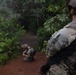 Jungle Medicine Training Course: Field Training Exercise