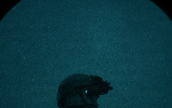 M4 Carbine Night Fire Fimiliarization Excercise