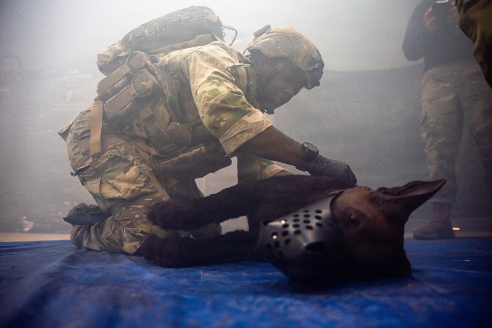 SETAF-AF Host Best Medic Competition 2026