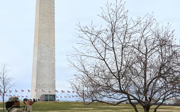 The D.C. Safe and Beautiful Mission Continues