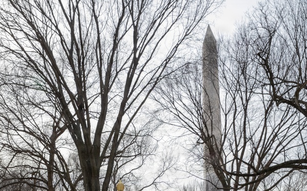 Mississippi and D.C. National Guard Soldiers Conduct Patrols in Washington, D.C.