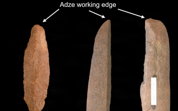 Fort McCoy ArtiFACT: Adze woodworking tool