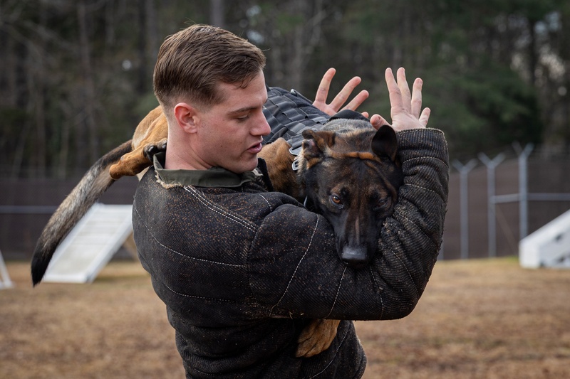 Handling Readiness of Four-Legged Partners