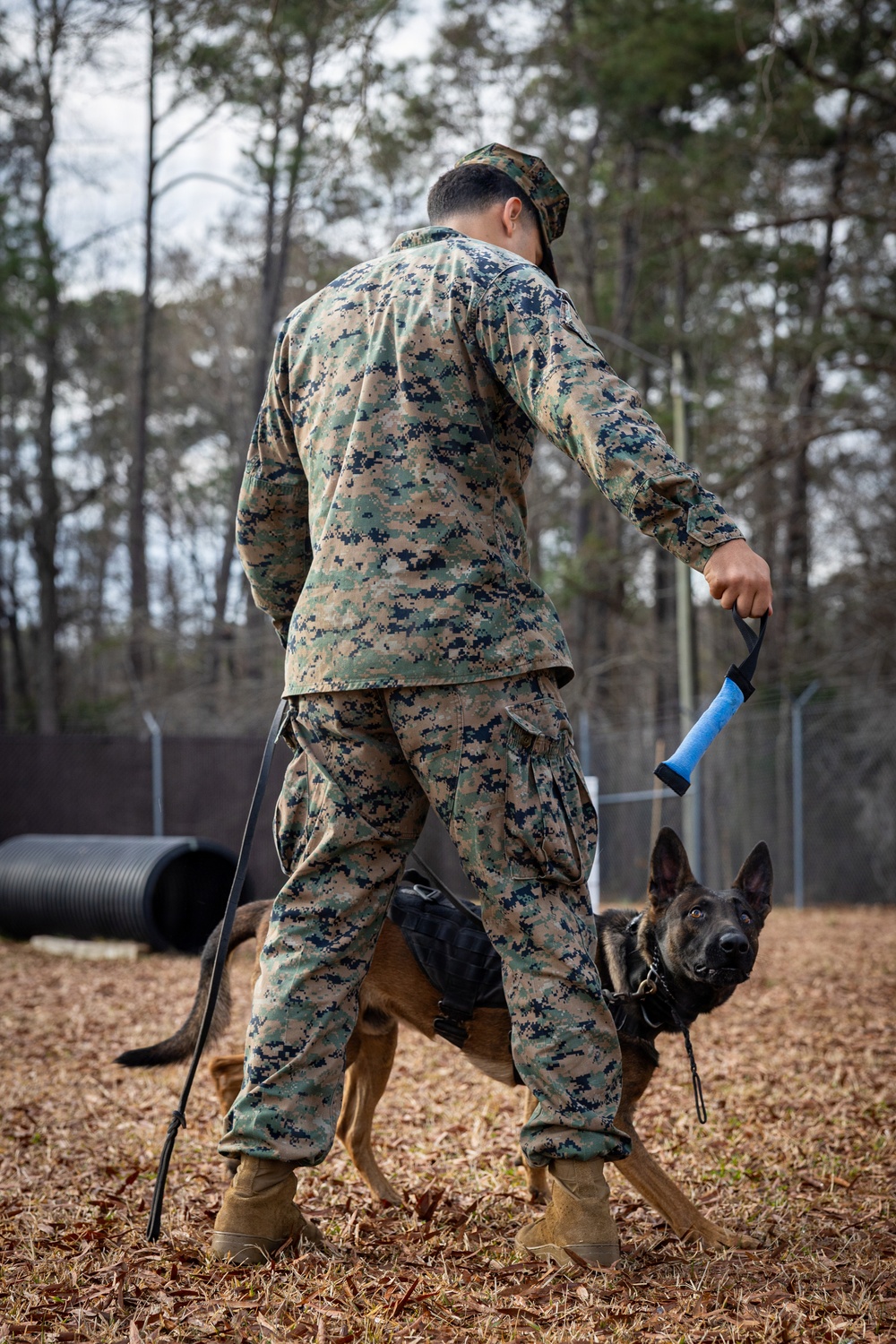 K9 Handlers at MCAS Cherry Point