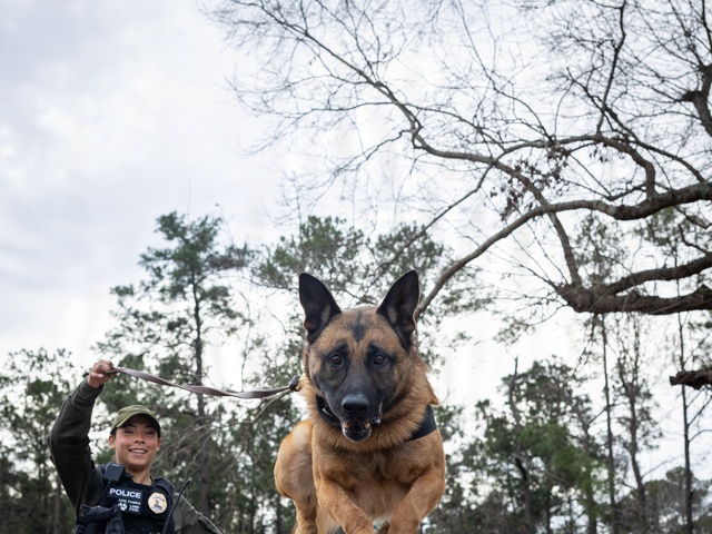 K-9 Handlers at MCAS Cherry Point