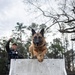 K9 Handlers at MCAS Cherry Point
