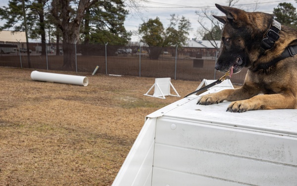 K9 Handlers at MCAS Cherry Point