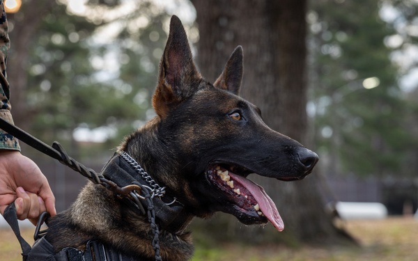 K9 Handlers at MCAS Cherry Point