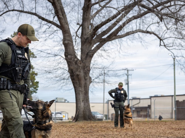 K-9 Handlers at MCAS Cherry Point