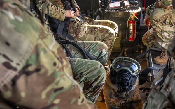 DUSTOFF Participates in Jungle Medicine Training Course