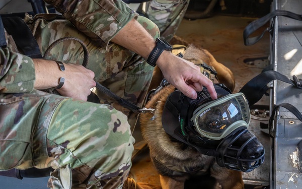 DUSTOFF Participates in Jungle Medicine Training Course