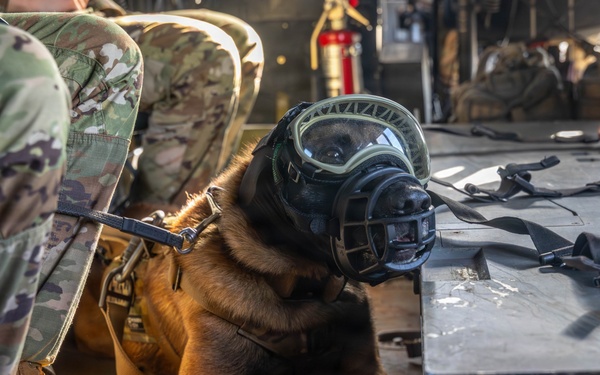 DUSTOFF Participates in Jungle Medicine Training Course