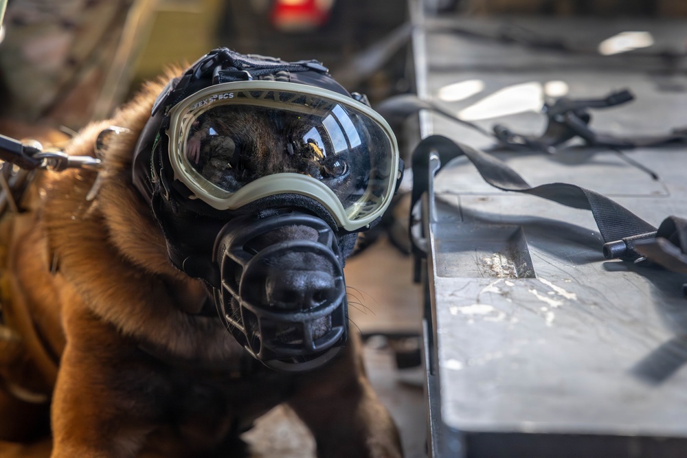 DUSTOFF Participates in Jungle Medicine Training Course