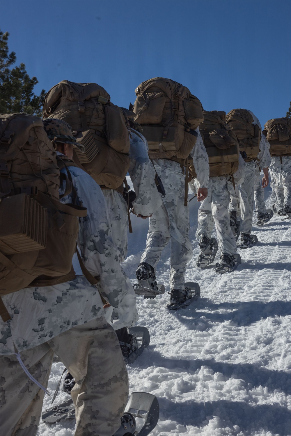 MTX 1-26 | Combat Logistics Battalion 24 Acclimation Hike