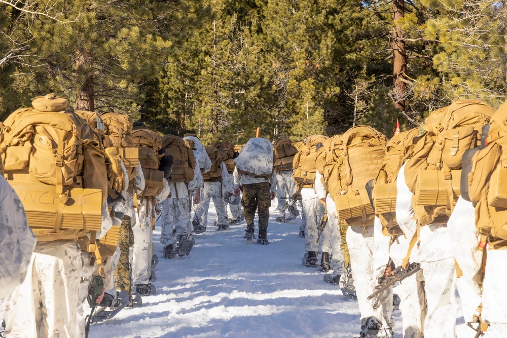 MTX 1-26 | Combat Logistics Battalion 24 Acclimation Hike
