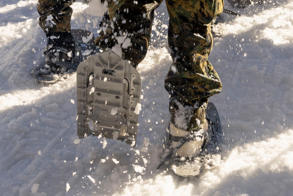 MTX 1-26 | Combat Logistics Battalion 24 Acclimation Hike