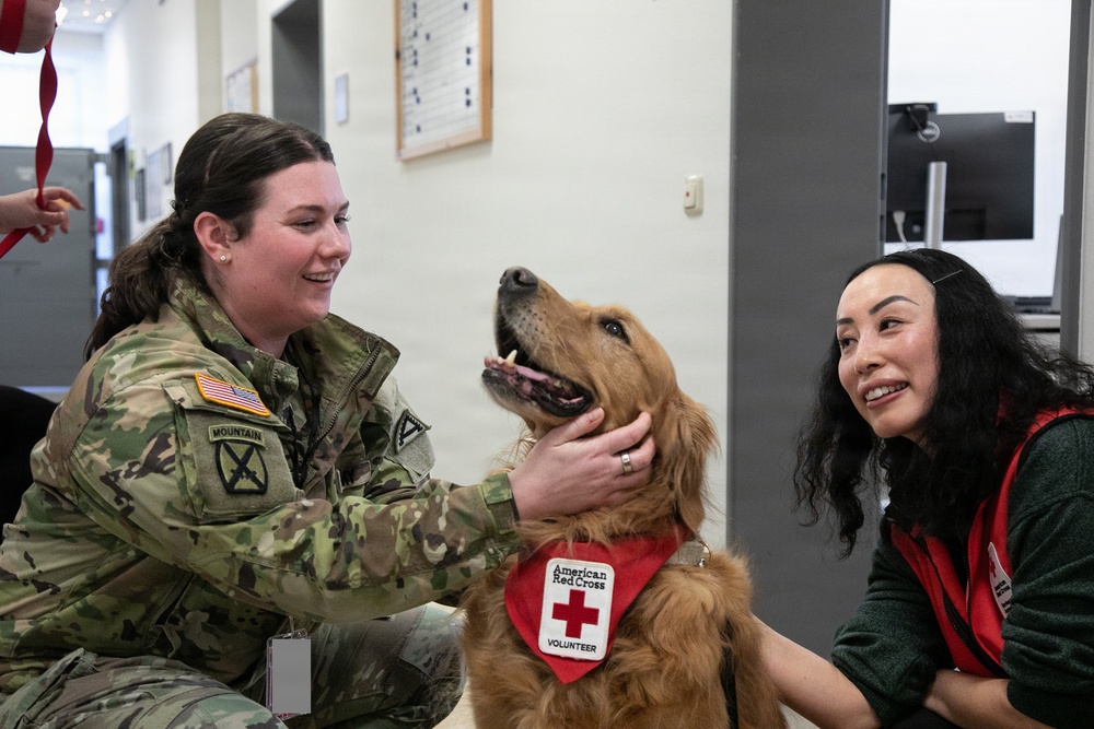 Red Cross Animal Visitation Program
