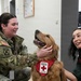 Red Cross Animal Visitation Program