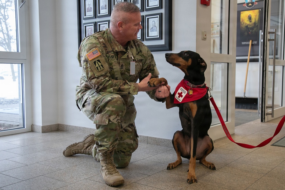 Red Cross Animal Visitation Program