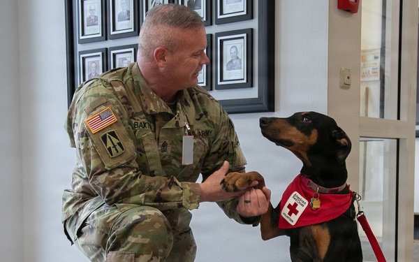 Red Cross Animal Visitation Program
