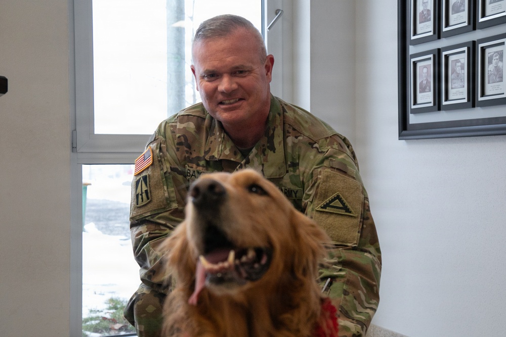 Red Cross Animal Visitation Program