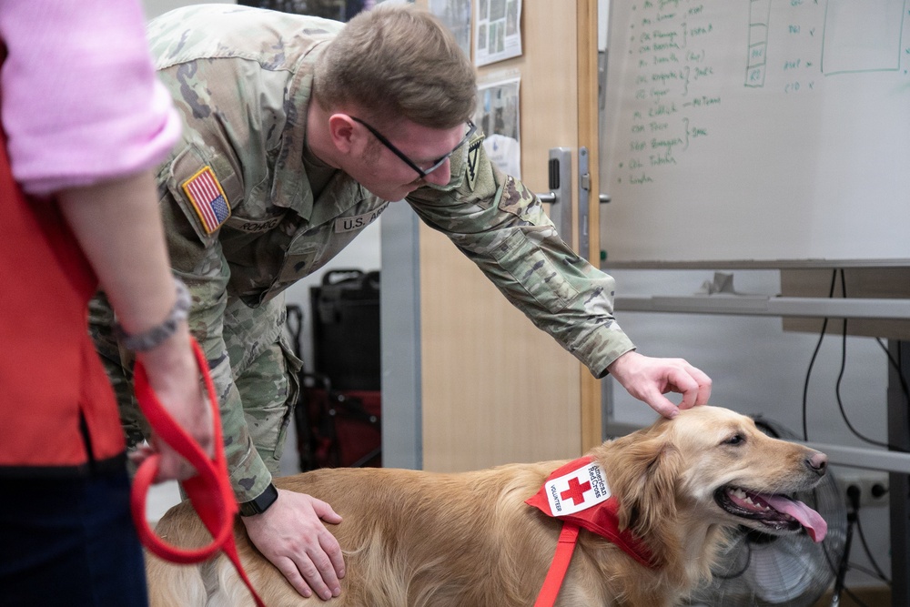 Red Cross Animal Visitation Program