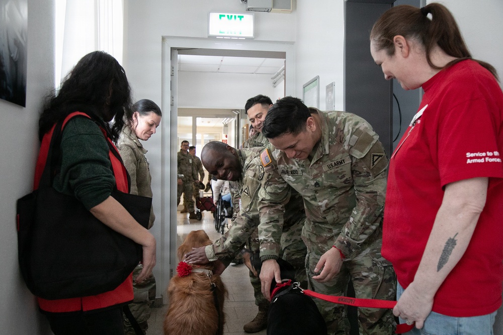 Red Cross Animal Visitation Program