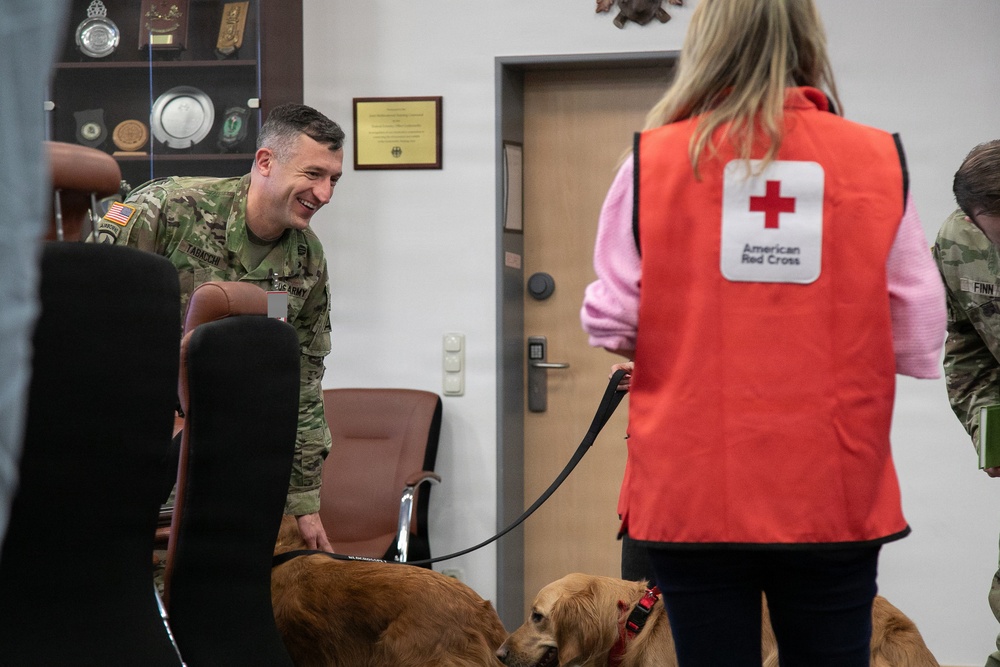 Red Cross Animal Visitation Program
