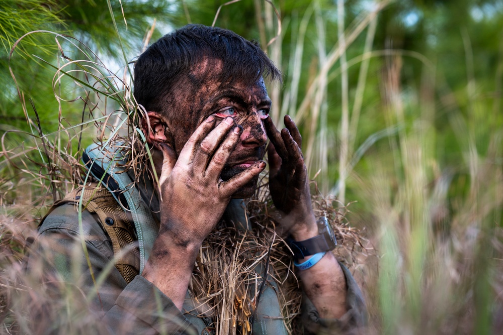 Camouflaged Communication