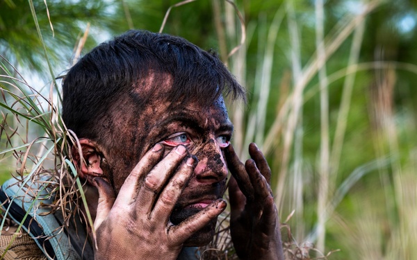 Camouflaged Communication