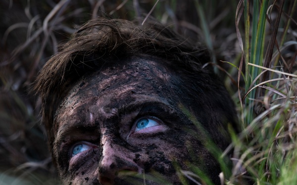 Camouflaged Communication