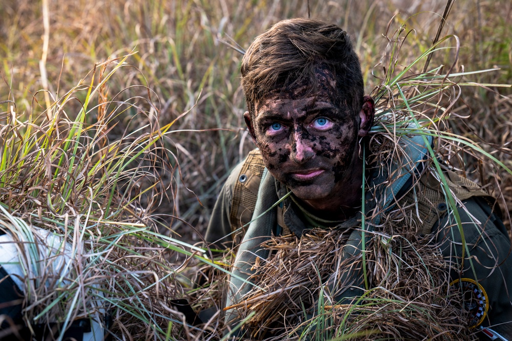 Camouflaged Communication