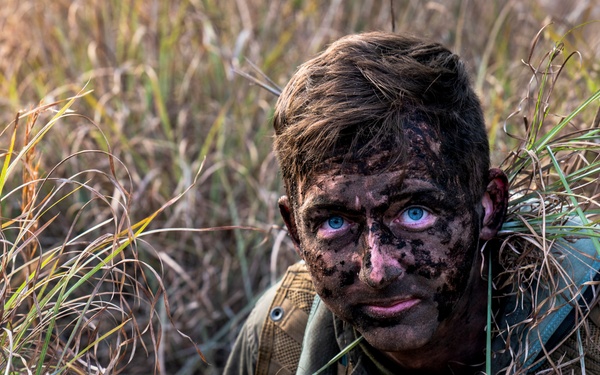 Camouflaged Communication