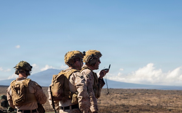 3rd LCT fires heavy weapons at Pohakuloa Training Area