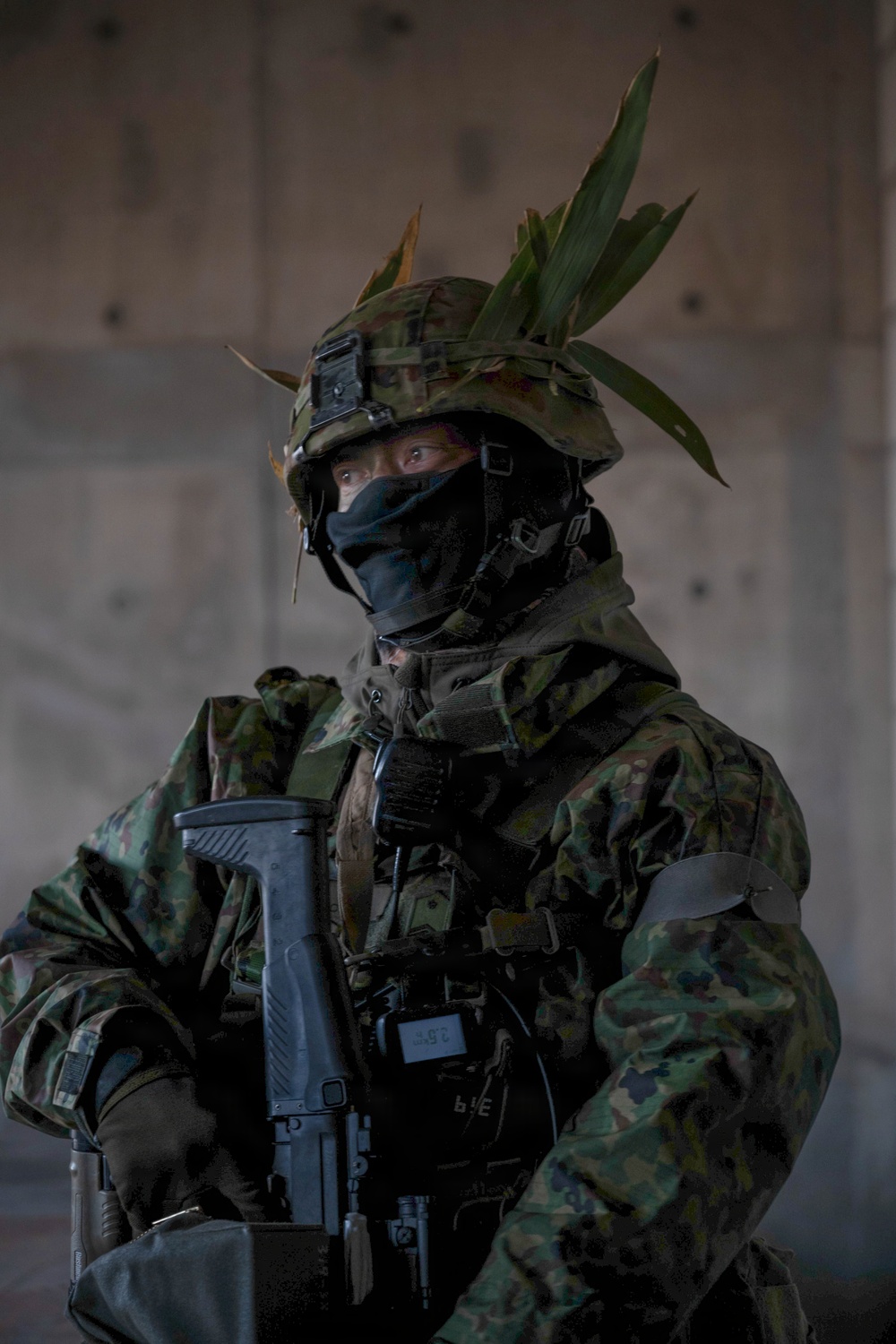 U.S. Army and Japan Self Defense Force Paratroopers Conducts Close Quarters Battle Training