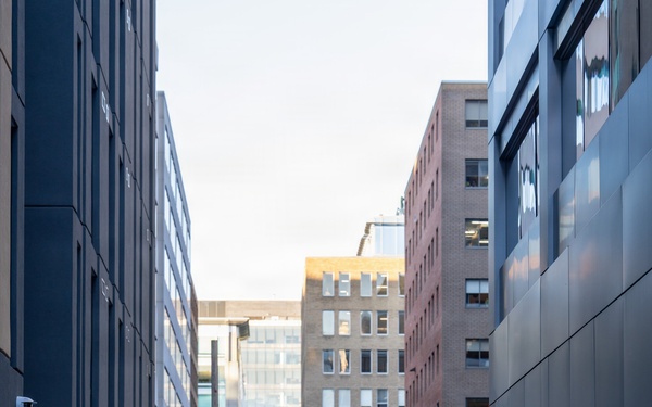 Visible Presence: Florida National Guard Supports D.C. Safe and Beautiful Mission