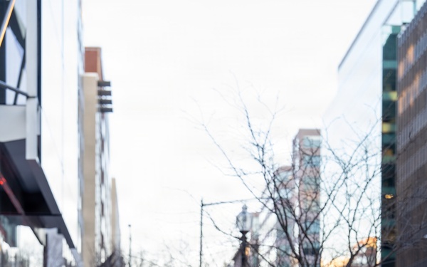 Visible Presence: Florida National Guard Supports D.C. Safe and Beautiful Mission