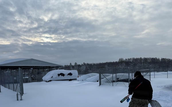 Snow Day in Redzikowo, Poland