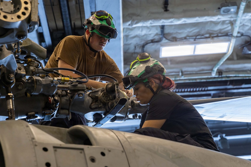 HSM-70 Routine Maintenance