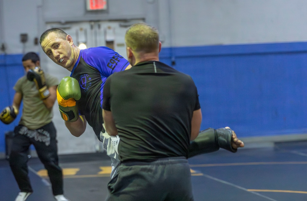 Joint Task Force D.C. Conducts Joint Training Jujutsu