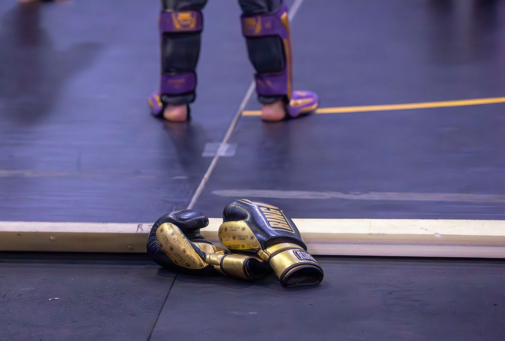 Joint Task Force D.C. Conducts Joint Training Jujutsu