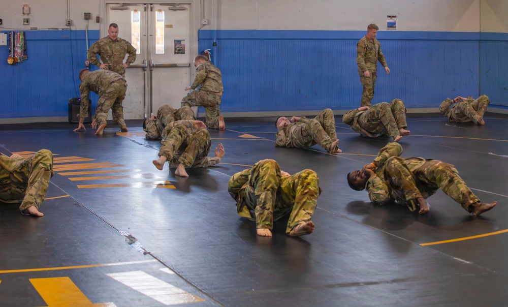 Joint Task Force D.C. Conducts Joint Training Jujutsu