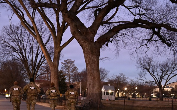 D.C Task Force at Dawn