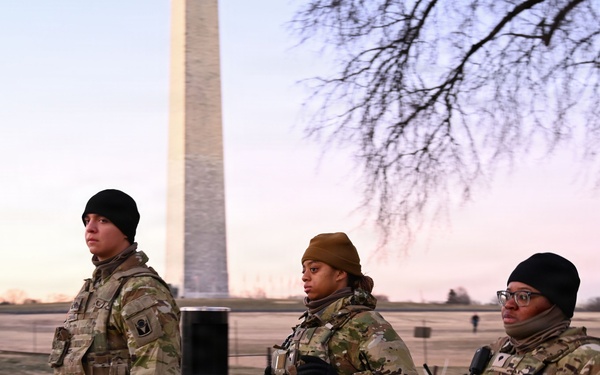 D.C Task Force at Dawn
