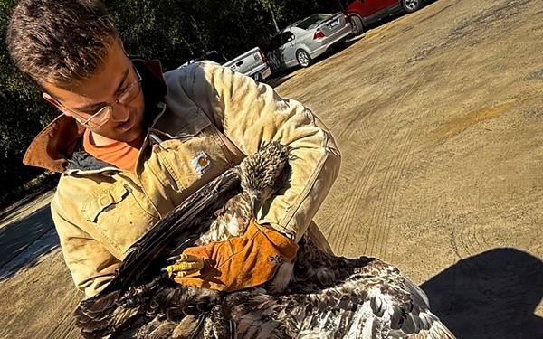Grounded eagles returned to flight